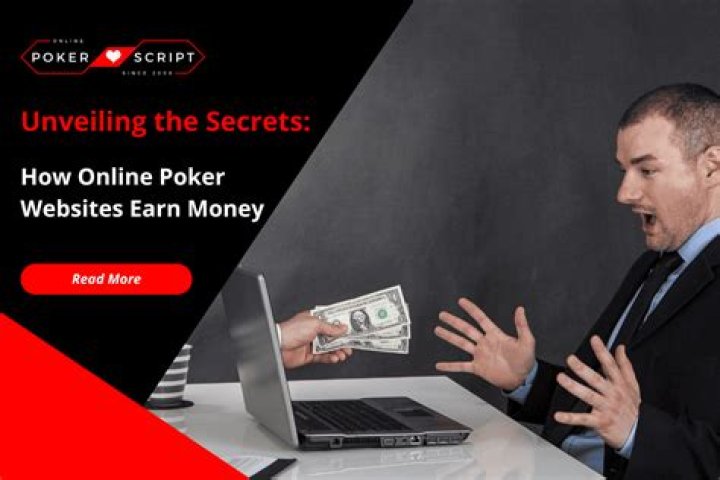 How do online poker websites earn money?