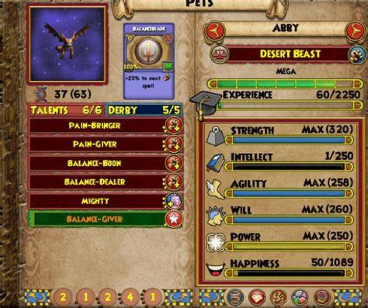 How do pets work wizard101?