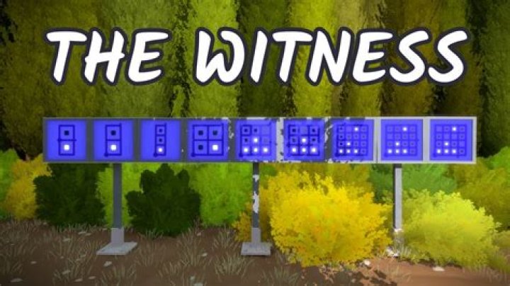 How do Tetris puzzles work in the witness?