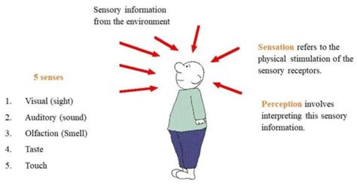 How do we actually see things?