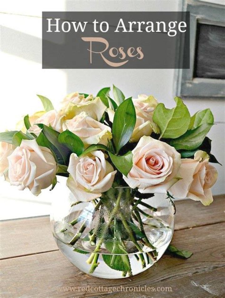 How do you arrange roses in a vase?