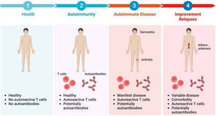 How do you calm down an autoimmune disease?