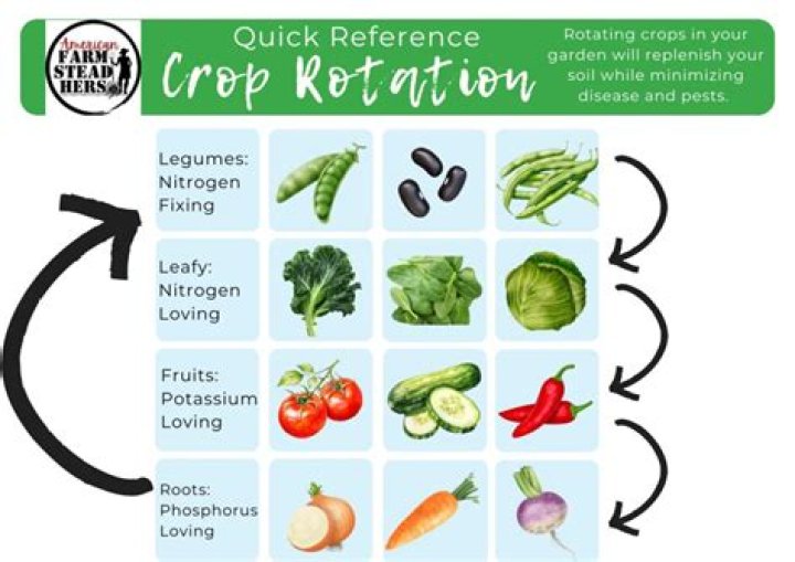 How do you decide what crop to grow?