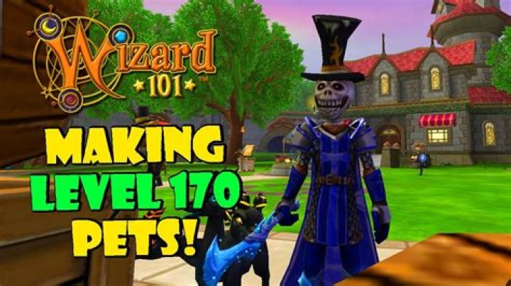 How do you equip a pet in Wizard101?