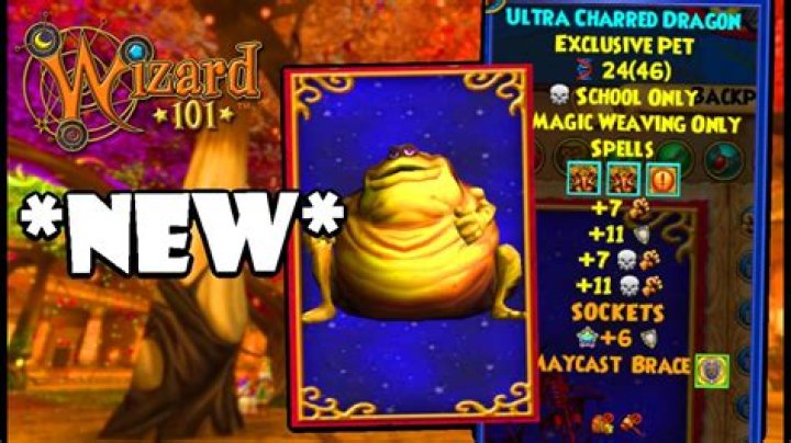 How do you equip pets in wizard101?