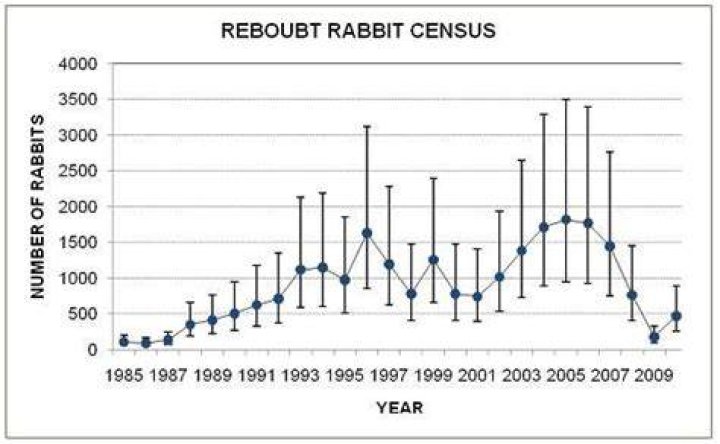 How do you estimate rabbit population?