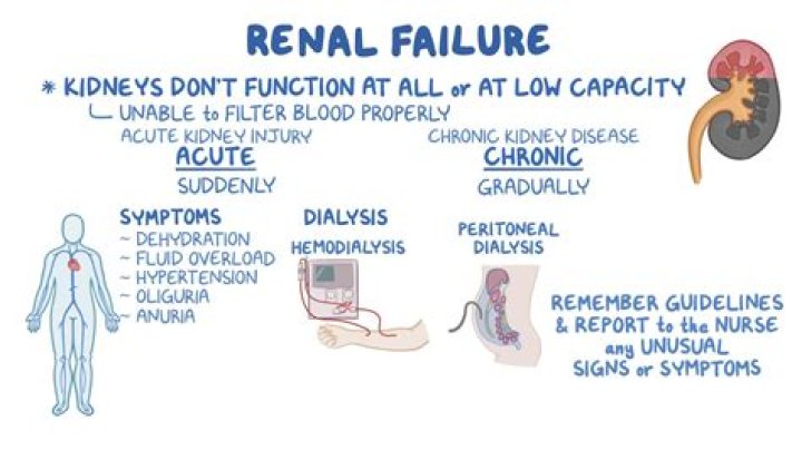 How do you feel when your kidneys fail?