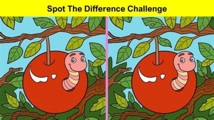 How do you find a spot difference?