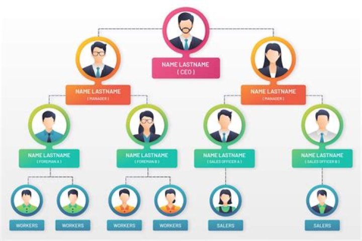 How do you find the pattern of an organization?