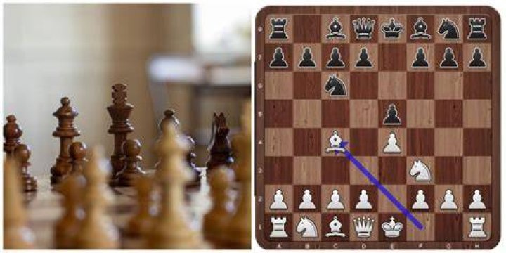 How do you get a chess opening named after you?