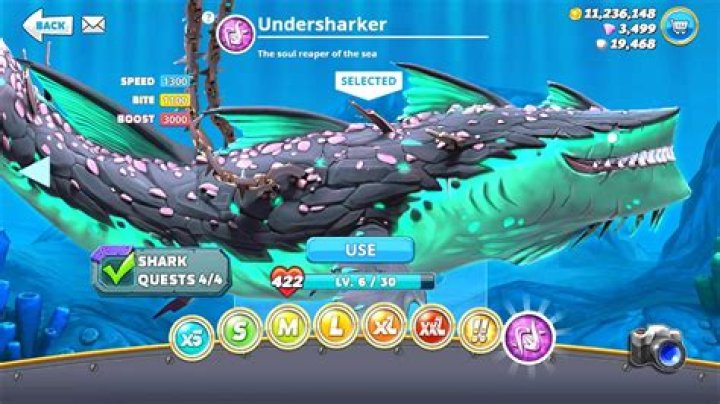 How do you get in the pool on hungry shark?