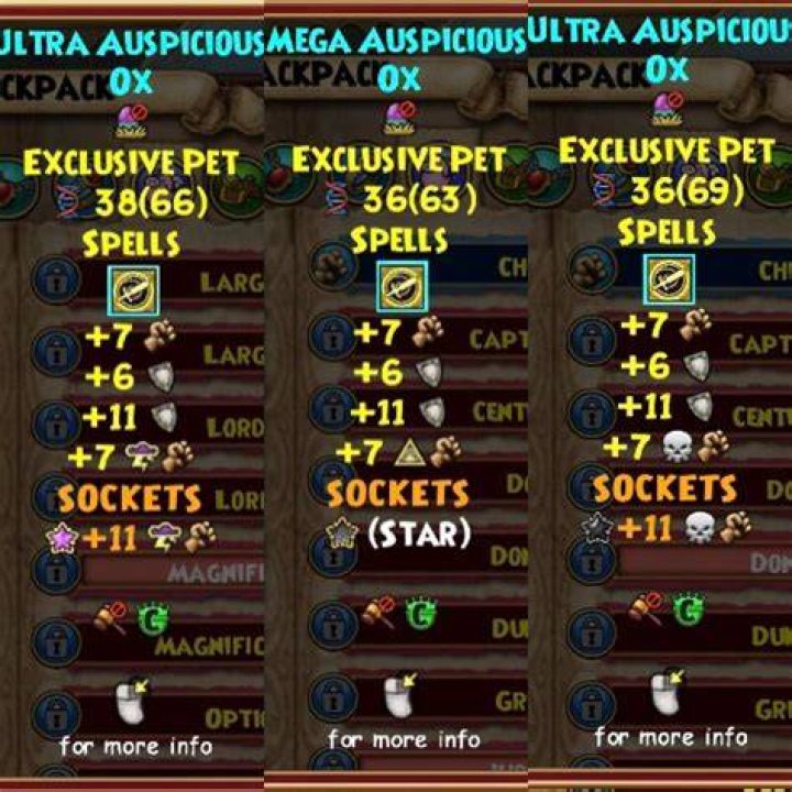 How do you get pet XP in wizard101?