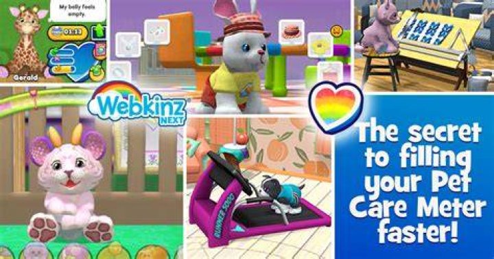 How do you increase your pet care on Webkinz?