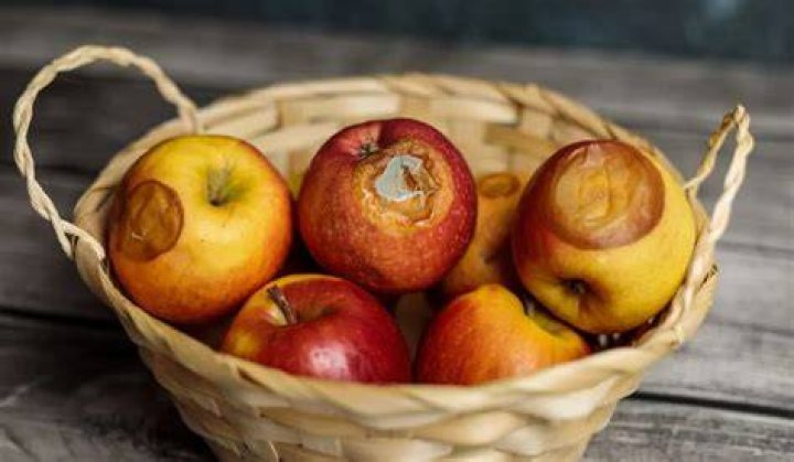 How do you know if refrigerated apples are bad?