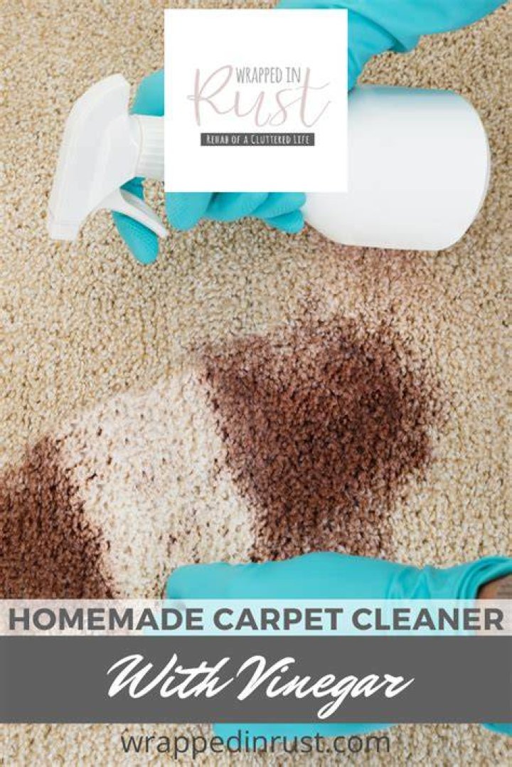 How do you make a homemade carpet cleaner?