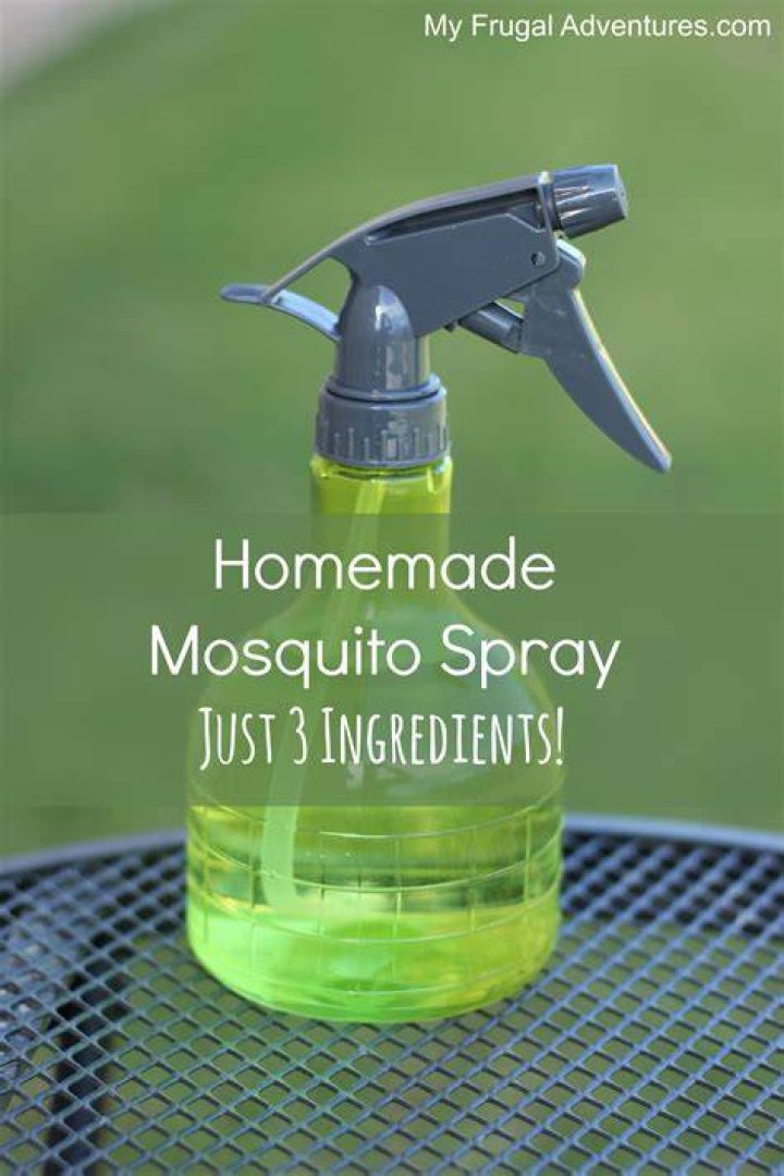 How do you make homemade mosquito repellent?