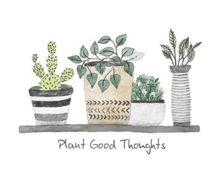 How do you plant good thoughts?