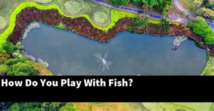 How do you play against fish?