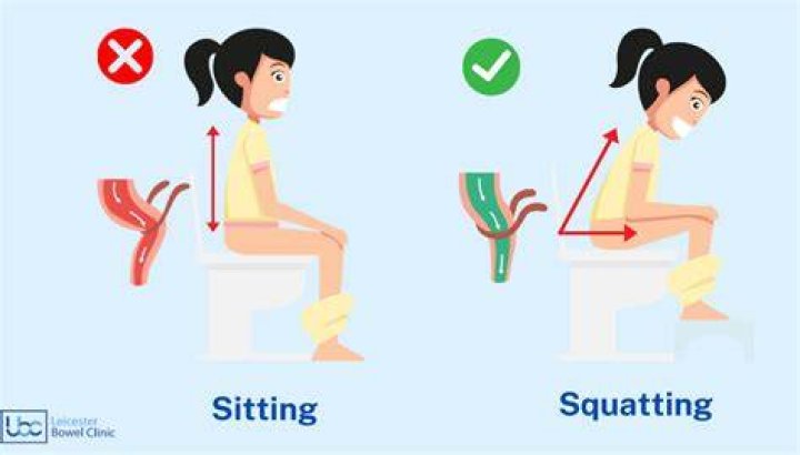 How do you poop in a western toilet?
