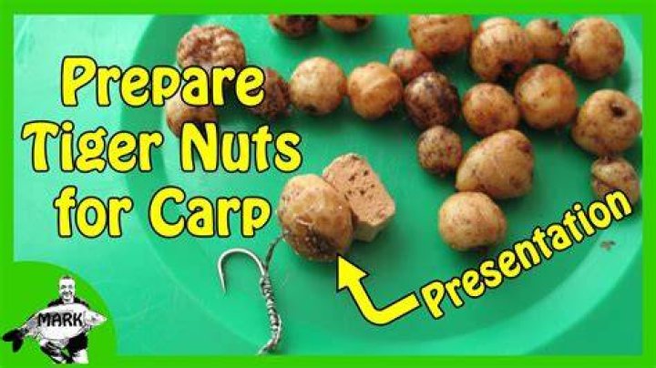 How do you prepare nuts for fishing?