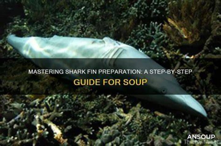 How do you prepare shark fins?