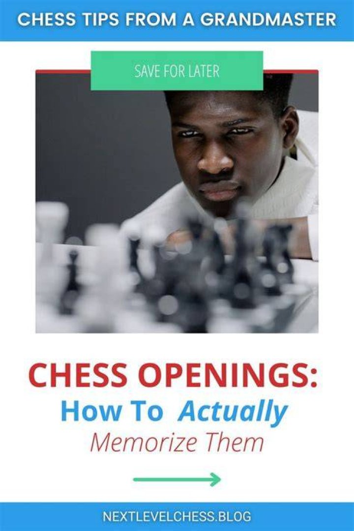 How do you remember chess openings on Reddit?