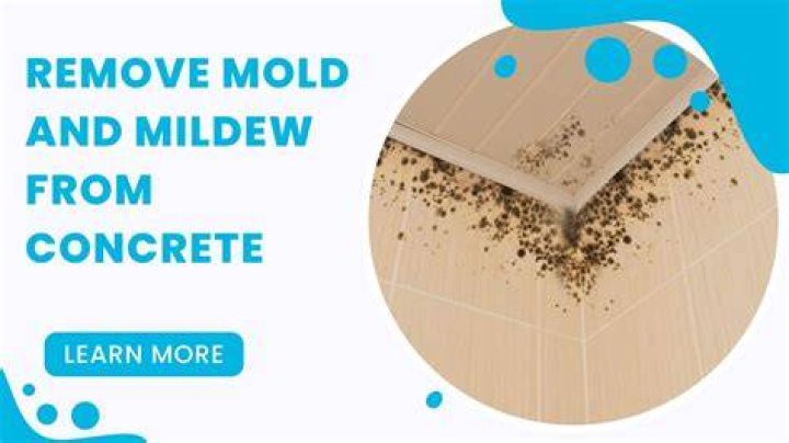How do you remove mold and mildew from concrete?