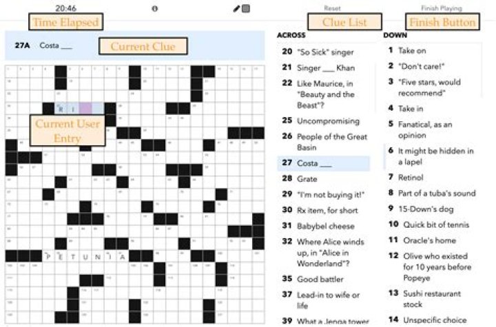 How do you solve crossword puzzles?
