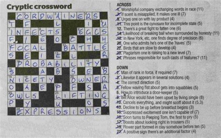 How do you solve cryptic clues?