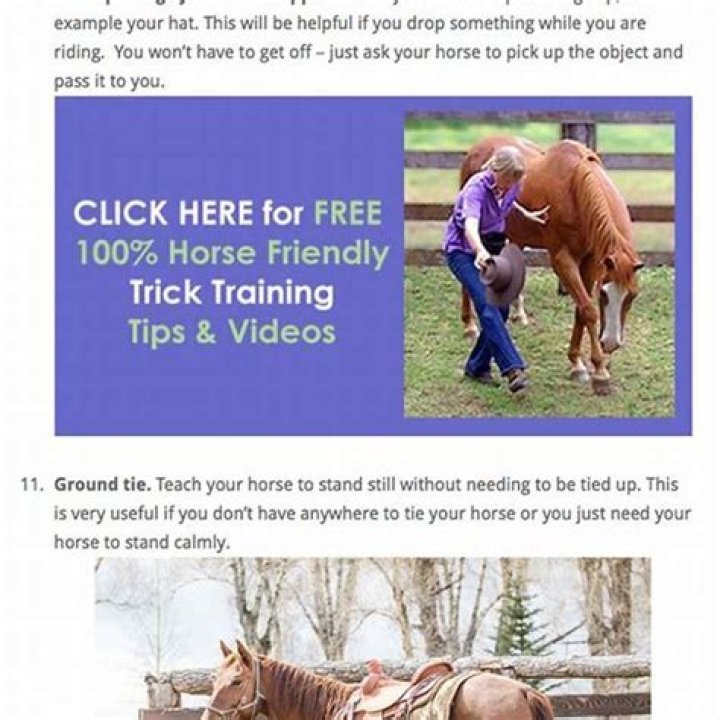 How do you tell if your horse has bonded with you?
