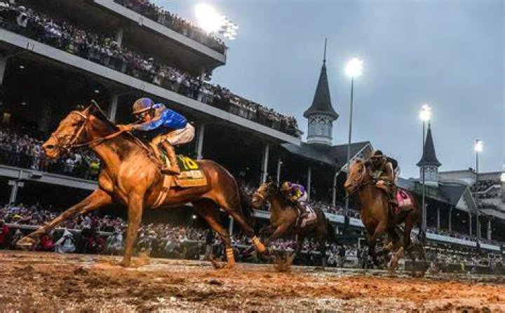 How do you tell which horse will win a race?