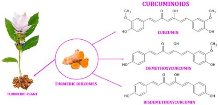 How do you test curcumin in turmeric at home?