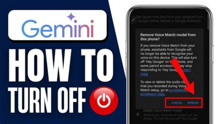 How do you turn a Gemini off?