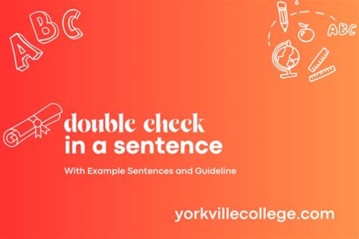 How do you use double check in a sentence?