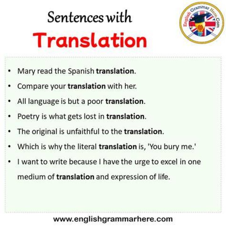 How do you use translation in a sentence?