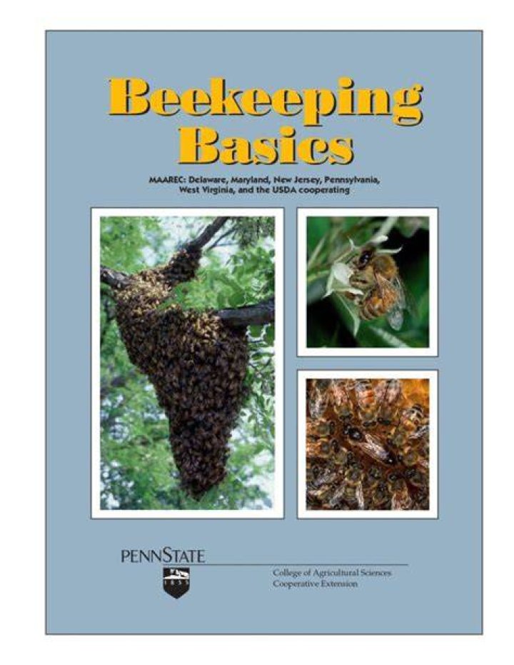 How do you wear bees?