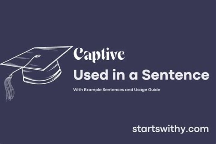 How do you write a captive sentence?