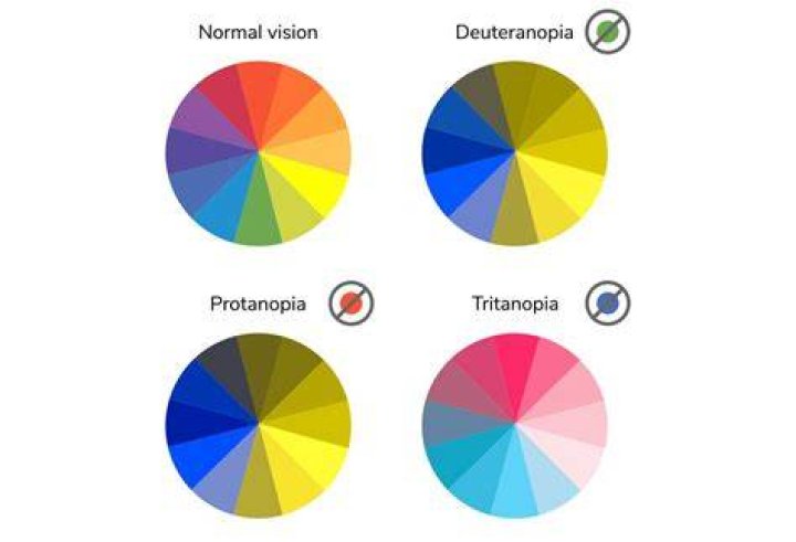 How does a color blind person learn colors?