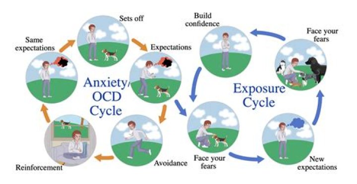 How does anxiety develop?