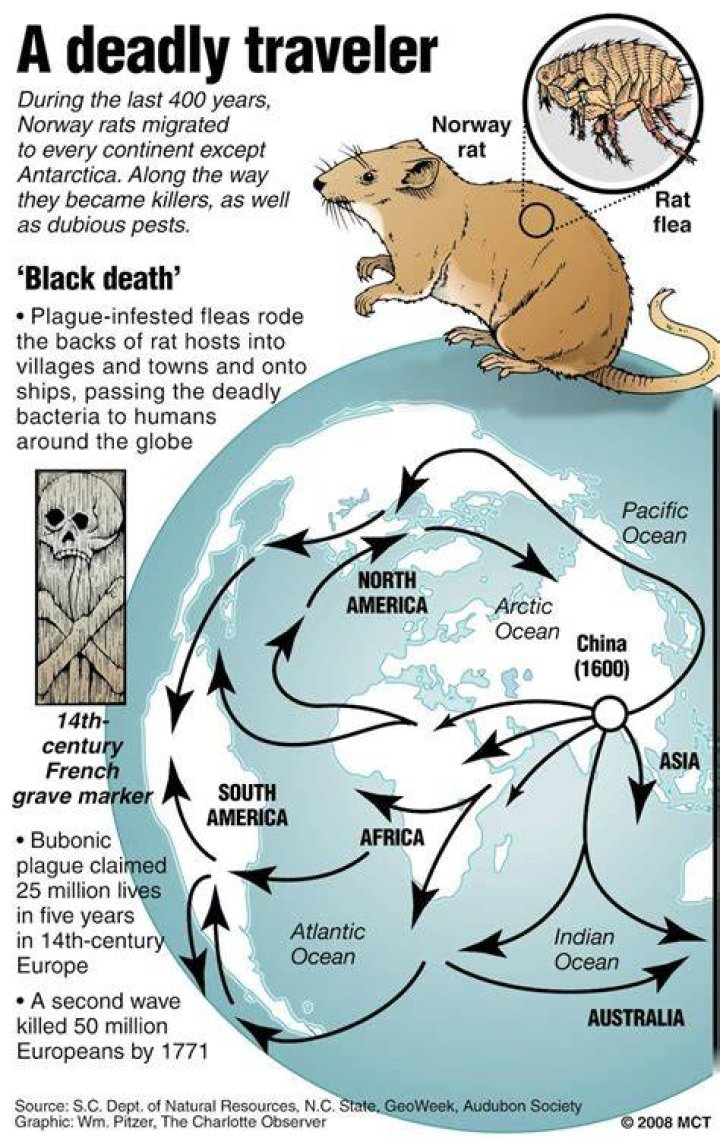 How does Defoe describe the plague?