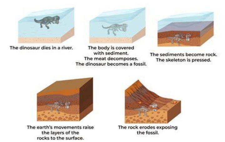 How does something become second nature?