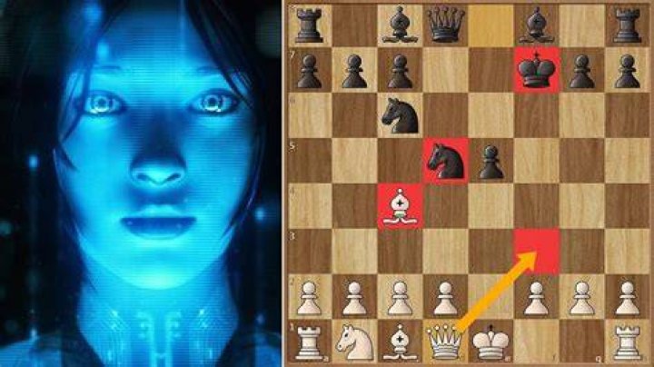 How is Leela chess zero trained?