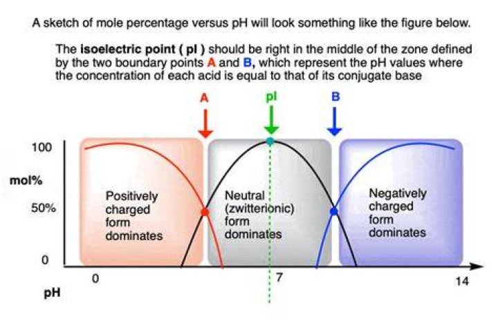 How is pi related to PHI?