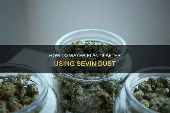 How long after applying Sevin can you spray in water?
