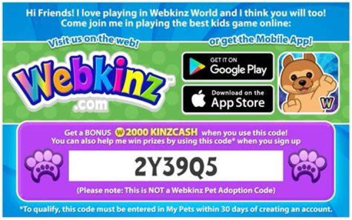 How long are Webkinz codes?