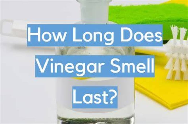 How long before vinegar smell goes away?