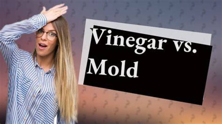 How long can you leave vinegar in a gas tank?