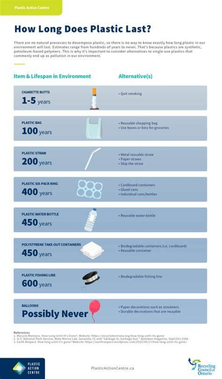 How long do plastic toothbrushes last?