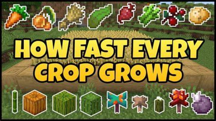 How long do Webkinz crops take?