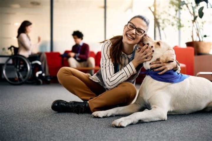 How long is pet therapy?